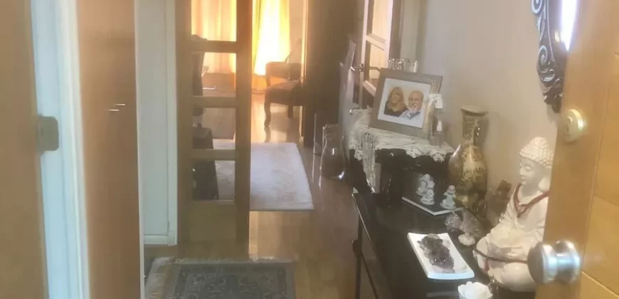 Se Vende Hermoso Departamento Metro Ines De Suarez