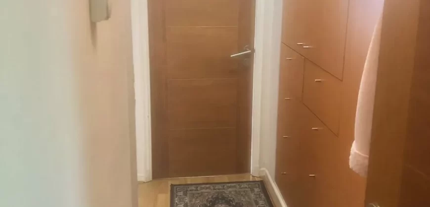 Se Vende Hermoso Departamento Metro Ines De Suarez