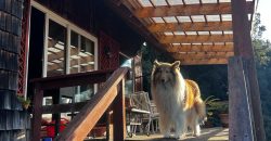 Se vende hermosa Casa Lago Tarahuin